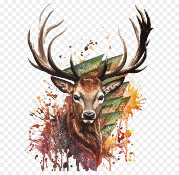 Deer Watercolor painting Drawing - Vector watercolor deer Deer Watercolor painting Drawing - Vector watercolor deer