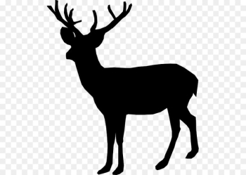 Deer, Whitetailed Deer, Reindeer, Elk PNG Deer, Whitetailed Deer, Reindeer, Elk PNG