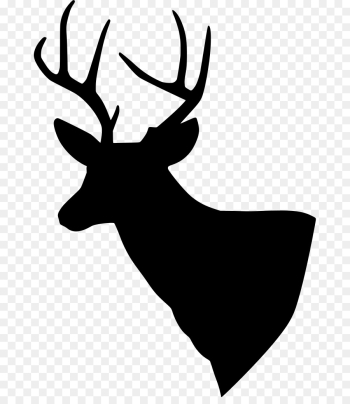 Deer, Whitetailed Deer, Reindeer, White, Elk PNG