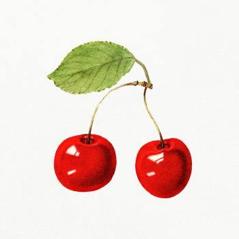Delicious red cherries illustration. Digitally enhanced illustration f.. | Free public domain illustration - 2297751