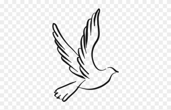 Democratic Reform Party - Black And White Dove Png