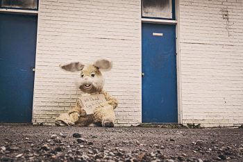 Depressed Street Bunny Free Photo Depressed Street Bunny Free Photo