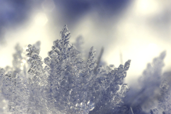 Depth of Field Photography of Ice Shards Depth of Field Photography of Ice Shards