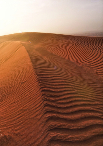 Desert Desert