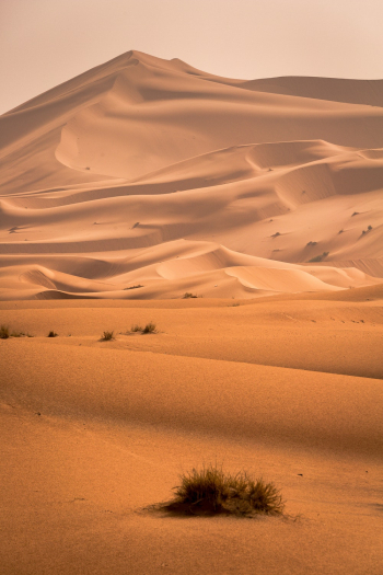 Desert Desert