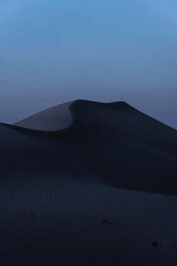Desert Dusk Desert Dusk