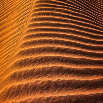 Desert Erg Desert Erg