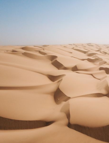 desert field desert field