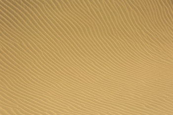 Desert Photo Desert Photo
