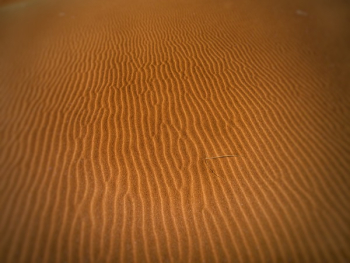 Desert Sand Desert Sand