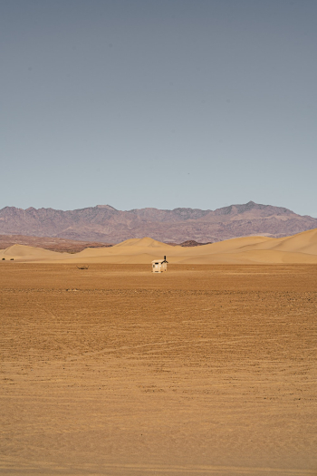 Desert Sand Landscape Photography Desert Sand Landscape Photography