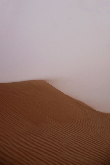 Desert Sandstorm Desert Sandstorm