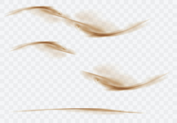 Desert sandstorm, brown dusty cloud on transparent Free Vector Desert sandstorm, brown dusty cloud on transparent Free Vector