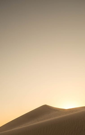 desert silhouette desert silhouette