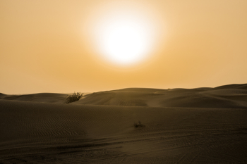 Desert Under Yellow Sunset Desert Under Yellow Sunset