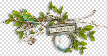 Designer Sea , I love the sea leaves transparent background PNG clipart Designer Sea , I love the sea leaves transparent background PNG clipart
