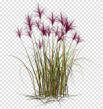 Desktop Flower, others transparent background PNG clipart Desktop Flower, others transparent background PNG clipart