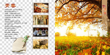 Desktop metaphor Autumn Leaf Table , Goodbye youth transparent background PNG clipart
