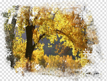 Desktop Mobile Phones Autumn High-definition television Wide XGA, autumn transparent background PNG clipart