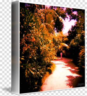 Desktop Nature M Computer, Computer transparent background PNG clipart Desktop Nature M Computer, Computer transparent background PNG clipart