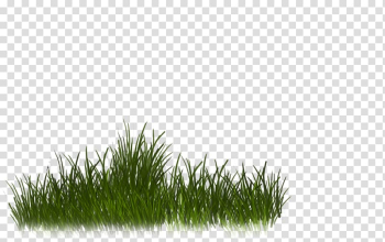 Desktop , others transparent background PNG clipart Desktop , others transparent background PNG clipart
