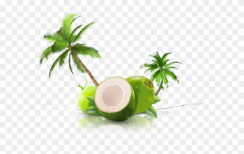 Desktop Screen Of Coconut Png Transparent Images Wallpaper - Palm Tree Clip Art