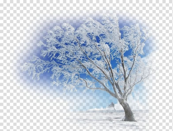 Desktop Screensaver Display resolution Desktop environment , wintry transparent background PNG clipart