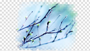 Desktop Sky Light Spring 1080p, light transparent background PNG clipart Desktop Sky Light Spring 1080p, light transparent background PNG clipart