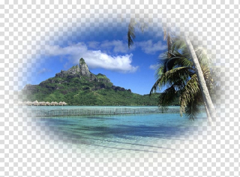 Desktop Summer Screensaver Mobile Phones, Paysage transparent background PNG clipart Desktop Summer Screensaver Mobile Phones, Paysage transparent background PNG clipart