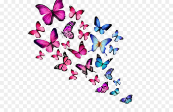 Desktop Wallpaper Glitter Butterfly Mobile Phones High-definition television - butterfly 