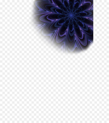 Desktop Wallpaper Purple Computer Transvaal daisy - salon sahne 