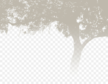 Desktop Wallpaper Wedding AutoCAD DXF - wedding background 