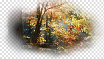 Desktop Wide XGA UXGA High-definition television , others transparent background PNG clipart