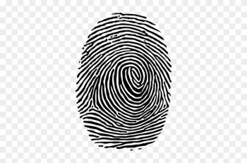 Detailed Lined Fingerprint - Fingerprint Free Vector Detailed Lined Fingerprint - Fingerprint Free Vector