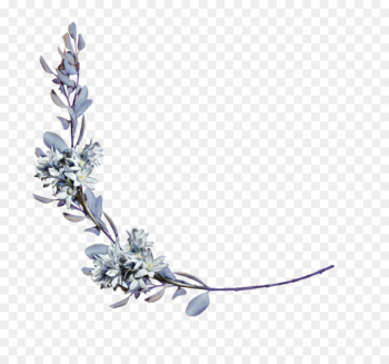 DeviantArt Branch Flower - flower DeviantArt Branch Flower - flower