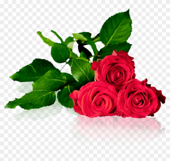 Dgc Trading - Death Among The Roses - Epub Dgc Trading - Death Among The Roses - Epub