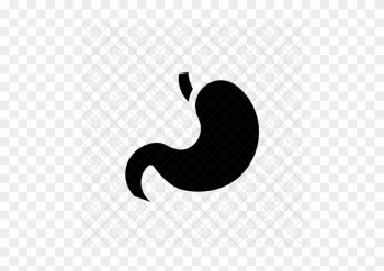 Digestion, Stomach, Getroenterology, Organ, Healthcare, - Illustration