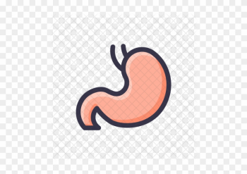 Digestion, Stomach, Getroenterology, Organ, Healthcare, - Stomach