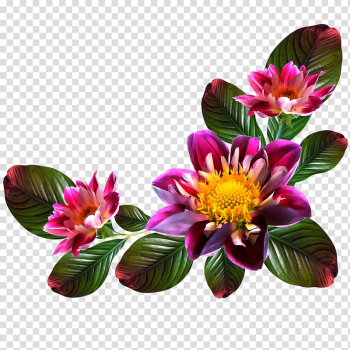 Digital frame Flower , flower transparent background PNG clipart