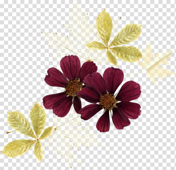 Digital Petal, others transparent background PNG clipart