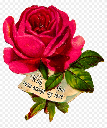 Digital Rose Clip Art Downloads - Rose Digital Rose Clip Art Downloads - Rose