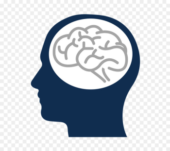 Dignity Brain Health Human brain Brain damage Biogerontology for Clinicans 2019 - brain 