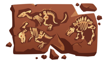 Dinosaur fossil bones, dino skeletons in stone Free Vector Dinosaur fossil bones, dino skeletons in stone Free Vector