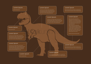 Dinosaur infographic Dinosaur infographic