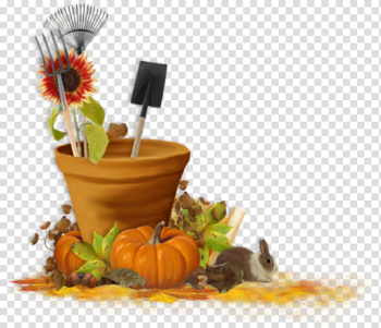 Diploma Golden Autumn , autumn transparent background PNG clipart Diploma Golden Autumn , autumn transparent background PNG clipart