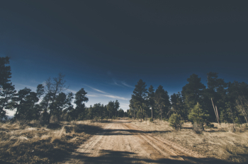 Dirt Road Surrounded by Tress Dirt Road Surrounded by Tress