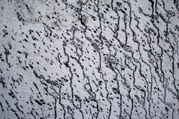 Dirty Wall Dirty Wall