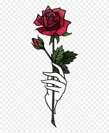 Discover The Coolest - Halsey Rose Hopeless Fountain Kingdom Discover The Coolest - Halsey Rose Hopeless Fountain Kingdom