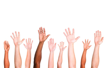 Diverse group of raised hands Diverse group of raised hands