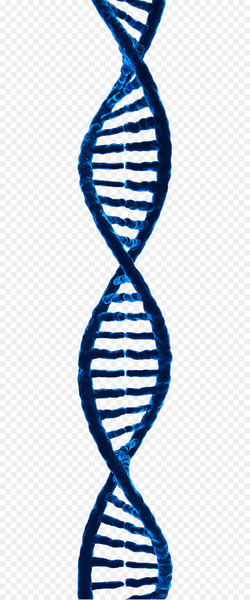 DNA 3D rendering 3D computer graphics - Free to pull DNA material 